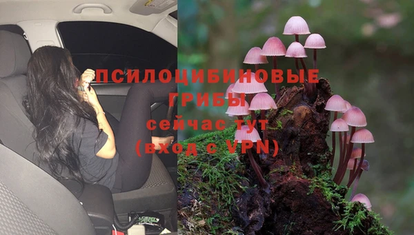 метамфетамин Каменка
